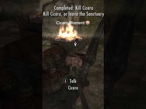 Goofy jester 🤡 #skyrim