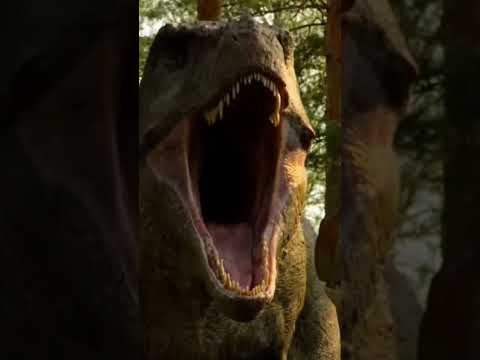 t rex vs shantungossauro
