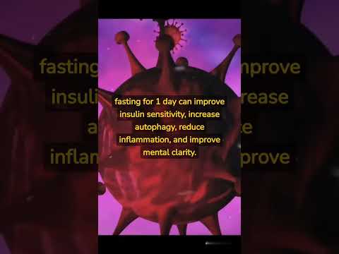 Fasting 1 day vs 1 week vs 1 month