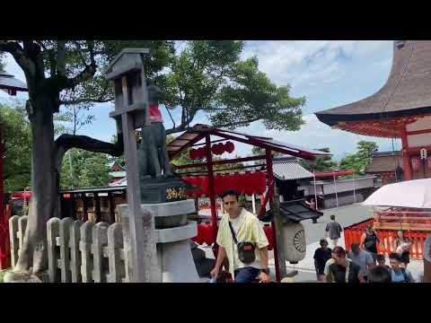 Fushimi Inari Taisha and Arashiyama Bamboo Forest kyoto 1 day trip travel kyoto day trip from osaka