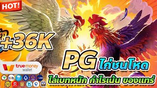 เว็บตรง true wallet สล็อต true wallet สล็อต วอเลท Rooster Rumble PG