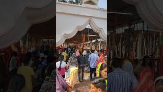 Bageshwar Dham। #shorts #divyadarbar #ramdarbar