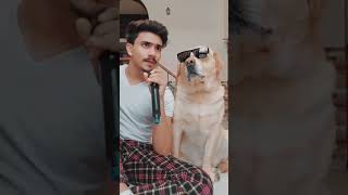 dog comedy video # SK Santu status#