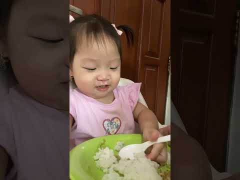 1 tahun belajar makan
