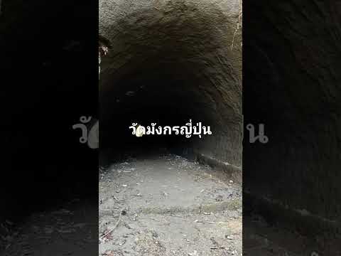 11 กุมภาพันธ์ ค.ศ. 2025