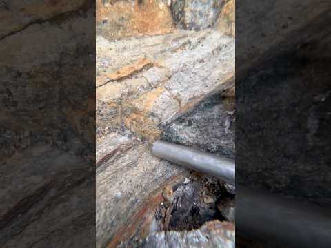 SNIPING for SCOTTISH GOLD (PART 2)