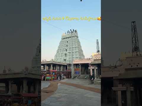 ఒకే చోట నుండి 9 గోపురాలు చూడగలరా?😍#arunachalam #arunachaltourism #tiruvannamalai #shortvideo#temple