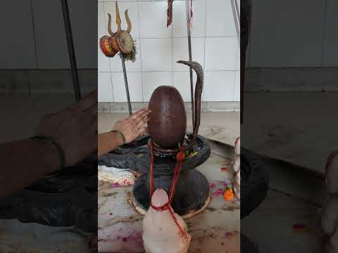 Mujhe bas tera saath chaahie, he Shiv — Om Namah Shivaay.🙏 #shivshankar #bhakti #terasaath