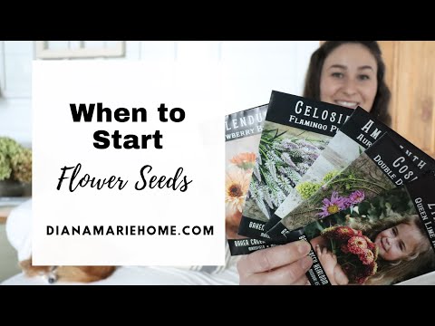 When to start FLOWER seeds | Garden Zone VS Last Frost Date
