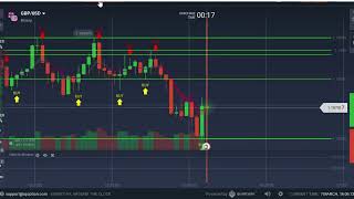 The only updated script you will need to trade on IQ-OPTIION in 2023 FREE