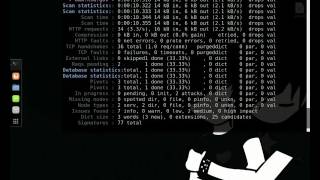 SkipFish - how to use / como usar