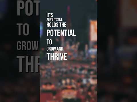 Daily Power Motivation: Fuel Your Day in 60 Seconds #dailymotivation #inspiration #mindset