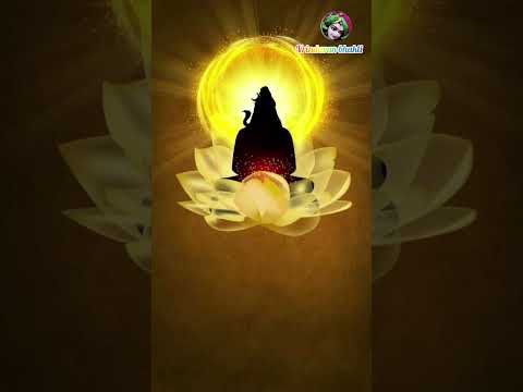 shri Rudrashtakam #vrindavan_bhakti #shortsviral #trending #shorts #shortsfeed