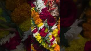 JAI SHANI DEV #shanidham #shanidhamtilwara #shanimandir #shanidev #jabalpur #tilwara