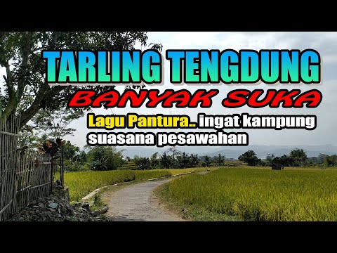 Tarling Cirebonan Indramayu paling dicari 2024 banyak yang suka