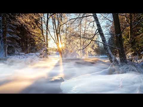 Mystery of the Shaman's Forest -  Shamanic Drums, Owl, Woodpecker and Nature Forest Lake Sounds