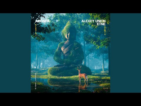 Uletai (Alexey Union & ETNE Remix)