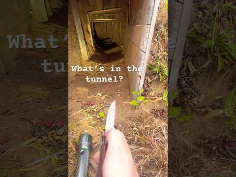 Should I keep digging in my tunnel #BackyardTunnel #Tunnel #Digging #DIYTunnel ￼