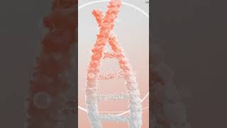 3D DNA Website #webflow #webdesign #ux #ui #3dwebsite #3d #nocodetool #nocode #webdev #marketing