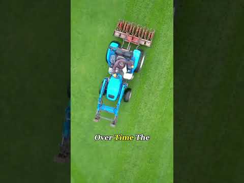 It’s Turf Spa Day #golflife #golfcourse #satisfying #Knowledge