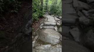 hiking Mt  LeConte, Smoky Mountains  #travel #hike #smokymountains