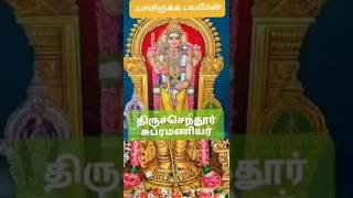 முருகன் அருள் #திருச்செந்தூர் # 24.3.2025.# முருகன் பாதம் # நினைவில் வைக்க வேண்டியது # ஓம் முருகா #