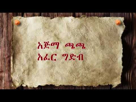 አጅማ ጫጫ አፈር ግድብ መስኖ ፕሮጀክትAjima chacha earth Dam onsite construction reality .