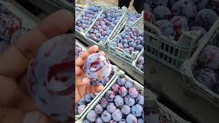 #freshfood #fruitcultivation #streetfood #fruitprocessing #freshproduce #fruitbazar