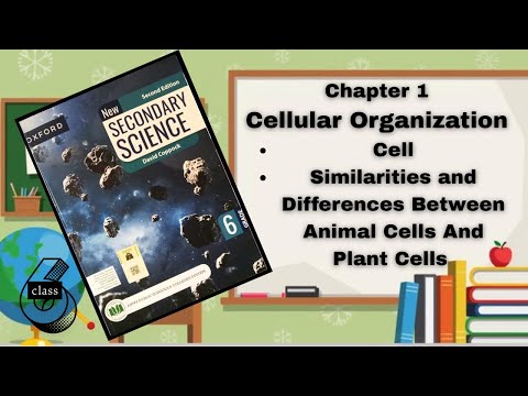 😱 Plant vs Animal Cell Battle! 🔬 Who Wins? | Class 6 Science | Cellular Organization Explained!