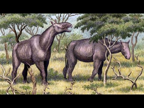 Paraceratherium Sounds
