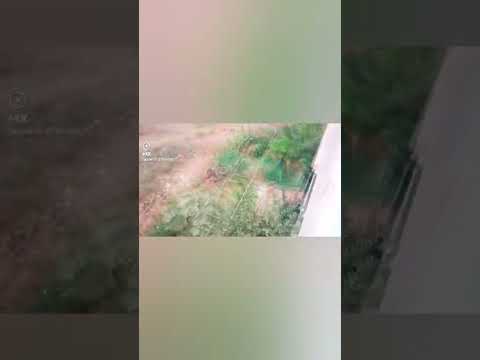 my farm gardening