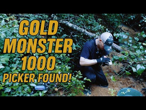 Gold Monster 1000 Went Crazy Here… Picker Found!