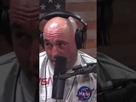 Jordan Peterson Convinced Joe Rogan to try Carnivore?