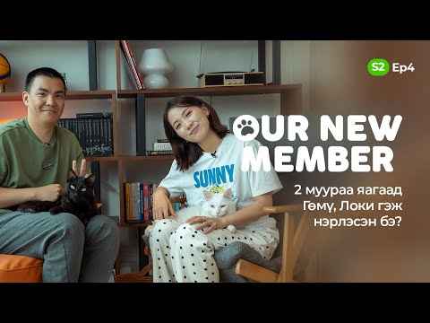 Our new member | S2 | Ep4 | Gomu & Loki