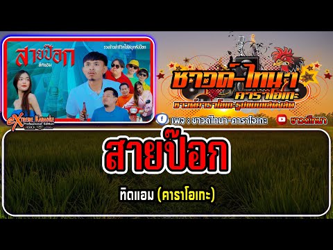 สายป๊อก คาราโอเกะ - ทิดแอม