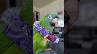 Talking Sweet To Thor