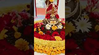 #har_har_mahadev  #omshivaham #omnamahshivay #devo_k_dev_mahadev #shivsankar #shivshambhu