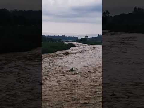#monsoon2025 #first #youtubeshorts #rainyday #hoshiarpur #flood