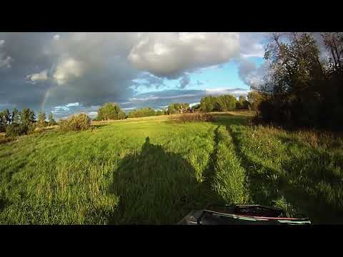 Chasing A Rainbow