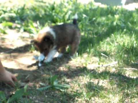 June 06, 2010 117.mov