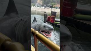 Is it WORTH IT? - most expensive Universal Studios VIP ticket #amusementpark #fun