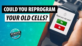 Can Old Cells be Young Again? | Yamanaka Factors & Cellular Reprogramming