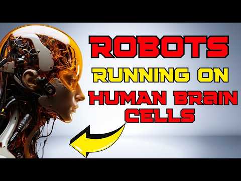 A Living AI Scientists Build Computer With Human Brain Cells!