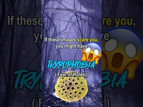 If these images scare you, you have Trypophobia! #shorts #scary #fear #phobia #test #subscribe