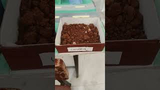 science exhibition project waste management recycle