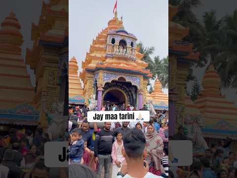 Ghatagaon Maa Tarini Temple 🙏🏻 #keonjhar #maatarini #odiavlog