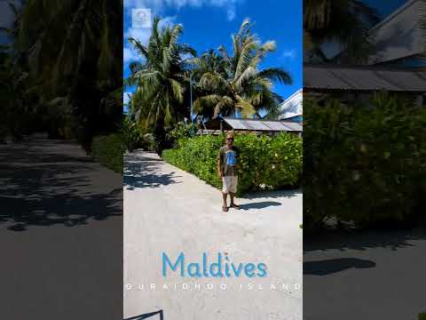 Maldives Resort Tour Guraidhoo Island #blogger #island #mafushiisland #maldives #online #travel