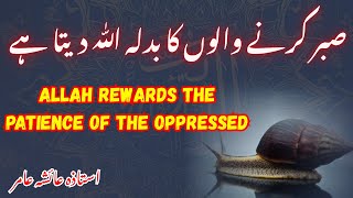 Allah Rewards the Patience of the Oppressed | By Aisha Amir #aiashaamir #surahyaseen #motivation