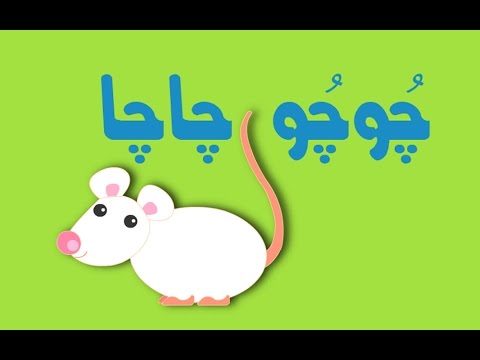 Chu Chu Cha Cha (Urdu Poem) | (چُوچُو چا چا (اردو نظم