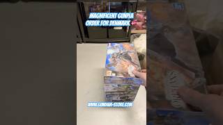 Magnificent Gunpla order for Denmark 🇩🇰 #gundam #gunpla #bandai #modelkit #hobby